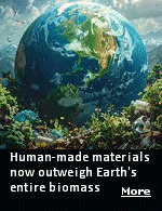 From roads and buildings to cars and plastic, human civilization is built on lots of stuff. But roughly how much stuff have we actually created? And in the process, how much of the natural world have we consumed or destroyed? A new analysis finds that on both counts, it's a lot � so much, in fact, that these materials may now outweigh all of the living things left on Earth.